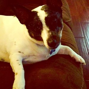 Jasper says Make an Offer!